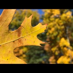 Meet your Posher, Bryanne